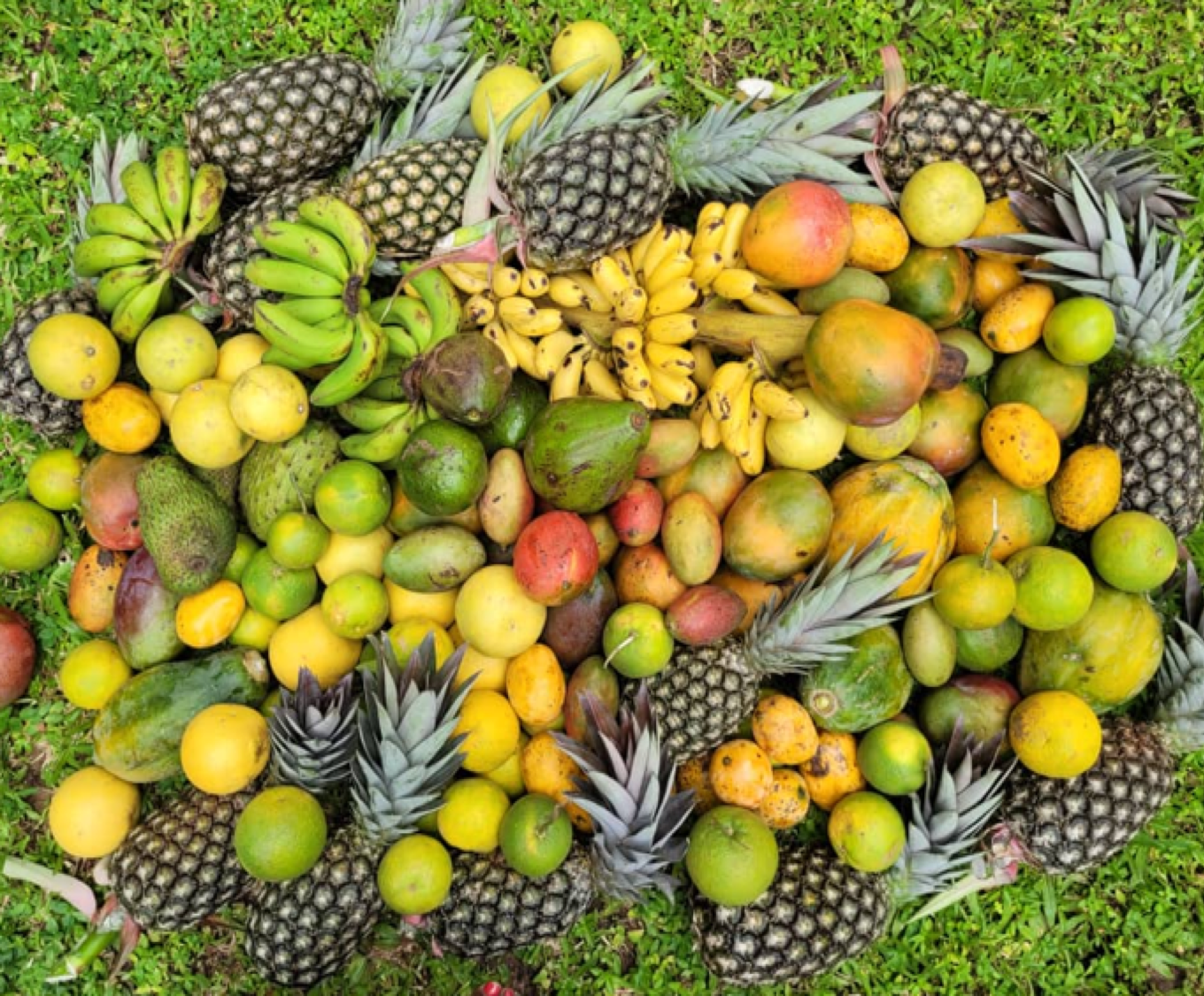 Aperçu de la vidéo de présentation 2Saisons